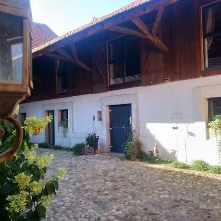 Cote Cour Bischwihr Colmar Bed & Breakfast Exterior photo